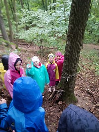 Artefiletika s Janem Pražanem - obrázek číslo: 11