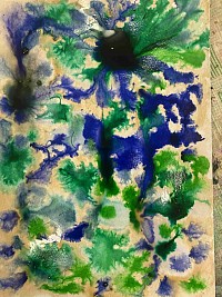 ŠD - zapouštění anilinek do klovatiny - obrázek číslo: 1