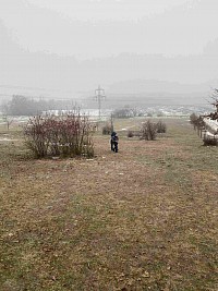 ŠD - po stopách zvířátek - obrázek číslo: 2