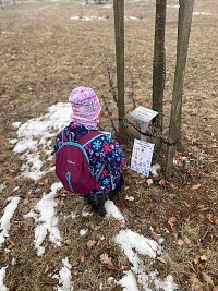 ŠD - po stopách zvířátek - obrázek číslo: 5