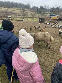 ŠD - návštěva zvířátek v Silůvkách - obrázek číslo: 1