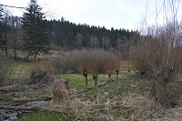 Škola v přírodě - Včelí údolí - den 3. - obrázek číslo: 12