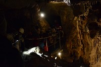 Škola v přírodě - Včelí údolí - den 4. - obrázek číslo: 12