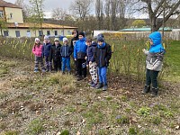 ŠD - zdobení plotu velikonočními kraslicemi - obrázek číslo: 1