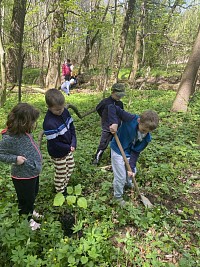ŠD - Den země - sázení stromů - obrázek číslo: 5