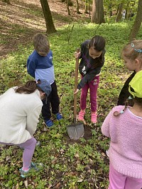 ŠD - Den země - sázení stromů - obrázek číslo: 7