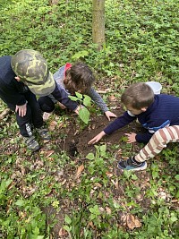 ŠD - Den země - sázení stromů - obrázek číslo: 11