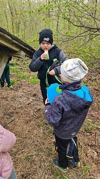 ŠD - cesta ke krmelci a krmení zvířátek - obrázek číslo: 7