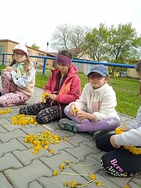 ŠD - pletení věnečků z pampelišek - obrázek číslo: 2