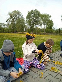 ŠD - pletení věnečků z pampelišek - obrázek číslo: 4