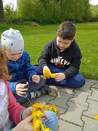 ŠD - pletení věnečků z pampelišek - obrázek číslo: 5