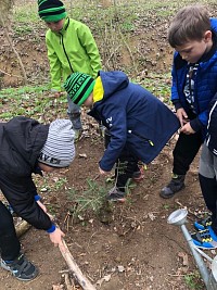 ŠD - sázení Jedle na Den země - obrázek číslo: 14