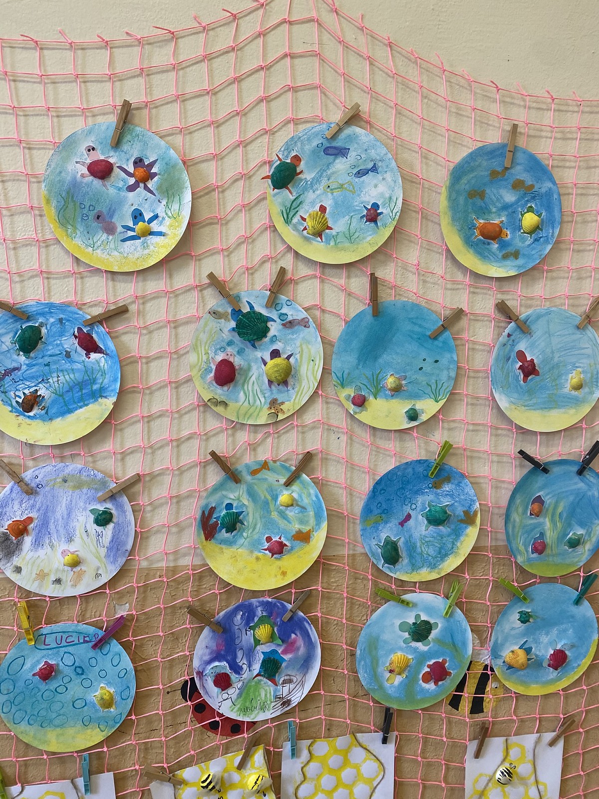 ŠD - želvičky v akváriu - mušličky - obrázek: img_1582.jpeg