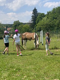 ŠD - výlet na hřiště do Silůvek - obrázek číslo: 12
